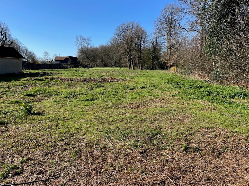 Lot: 19 - FREEHOLD PLOT WITH POTENTIAL - General view of the site